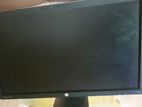 HP Monitor