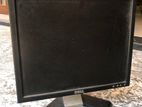DELL Monitor 18 1/2 Inch