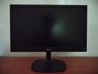 LG Monitor
