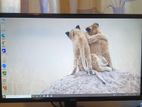 Monitor Inch 24 4K HDIM