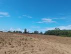 Monaragala Land for Sale