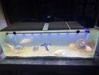 Monster Fish Tank Full Set