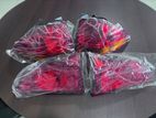 Montero Sport Rear Lamp with Guarnish Light Set