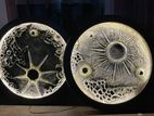 moon art
