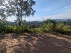Land in Moragolla Road Welimada