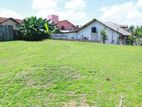 Moratuwa : 19 Perches Commercial Land for Sale