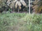Moratuwa Alwis Perera Mw 10 Perches Land for Sale