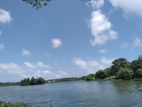 Moratuwa Bolgoda lake facing superb land for sale .