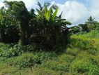 Moratuwa Dharmaratna Avenue 150 Perches Land for Sale