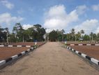 Moratuwa Gorakana Best lands for Sales N38