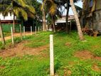 Moratuwa - Land for sale