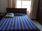 Moratuwa : New 4 Br , Two Storey House for Sale at