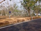 මොරගාහේන නගරයට 3km