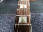 Morgan Acoustic Guitar 42