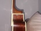 Morris 41 Box Guitar