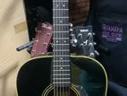 Morris Acoustic Guitar