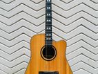 Morris Acoustic guitar