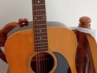 Morris Guitar