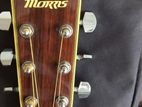 Morris Guitar