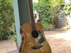 Morris W-20 Guitar