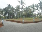 මොරටුවට සහ පානදුර නගර වලට ලඟින් අගනා නේවාසික බිම්කොටස් කිහිපයක් විකිණීමට