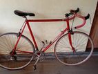 Moser Bicycle