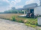 Most Precious Land For Sale In Homagama Beruketiya
