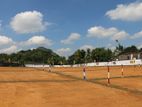 Most Precious Land For Sale In Homagama