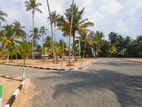 Most Valuable Land for Sale in Gampaha, Ganemulla