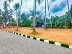 Most Valuable Land for Sale in Ganemulla