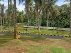 Most Valuable Land for Sale in Homagama