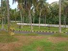 Most Valuable Land for Sale in Homagama Kiriwaththuduwa