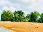 Most Valuable Land for Sale in Horana