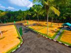 Most Valuable Land For Sale In Ja Ela Kotugoda