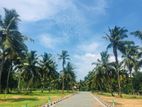 Most Valuable Land for Sale in Katunayake Muthuwadiya