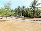 Most Valuable Land for Sale in Meegoda