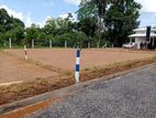 Most Valuable Land For Sale In Meegoda Thalagala