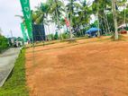 Most Valuable Land For Sale In Panadura