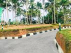 Most valuable land for sale in Panadura