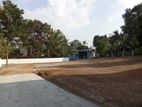 Most Valuable Land Plot Sale Thalawathugoda Hokandara