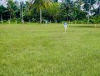 Most Valuable Land Plots For Sale In Beliatta