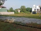 Most Valuable Land Plots Sale In Athurugiriya