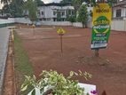 🔷🔷Most Valuable Land Plots Sale Maharagama🔷🔷