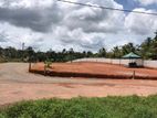 Most Valuable Land Plots Sale Pitipana