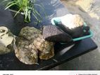 Fish Tank Accessories