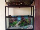 Fish Tank with Moter