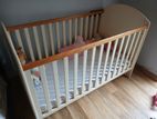 Baby Cot