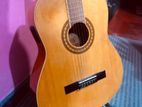 Motion American Semi Classical Box Guitar