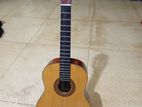 Motion Classical Guitar