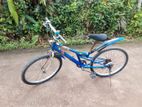 Mountain Bicycle